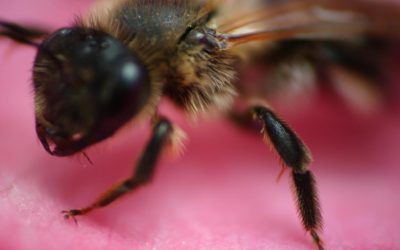 Sharing is caring – mit anderen teilen