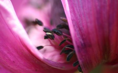 Entdecke die Welt um dich herum