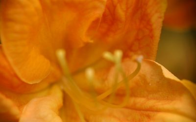 Slow – Rendezvous mit dir